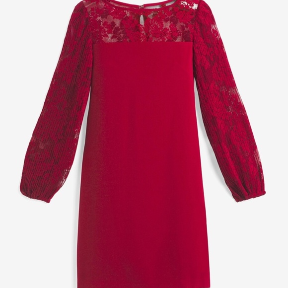 PLEATED LACE SHIFT DRESS - Picture 4 of 5